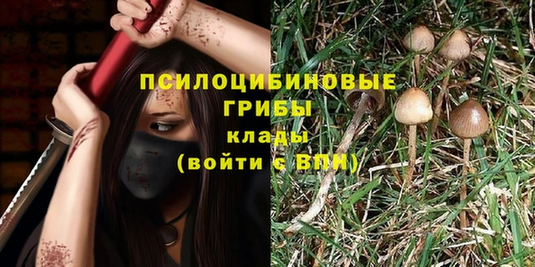 2c-b Абдулино