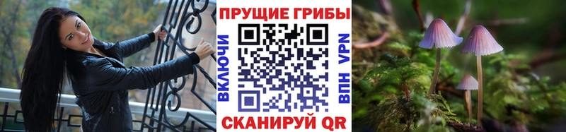 наркота Рязань Псилоцибиновые грибы ЛСД