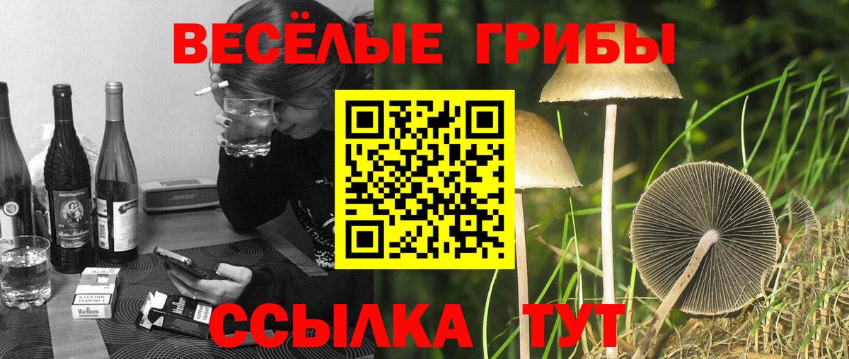 Рязань  Галлюциногенные грибы мицелий  закладка  Вход с VPN 