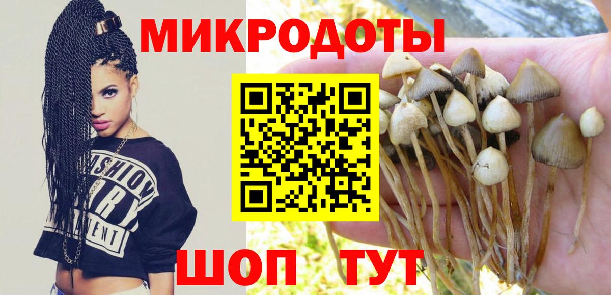 Галлюциногенные грибы GOLDEN TEACHER Рязань