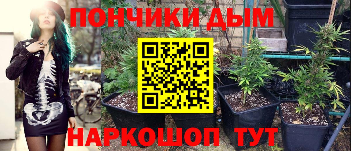 Марихуана Bruce Banner  Бошки Шишки Ganja  Рязань  Вход с VPN  Конопля индика 